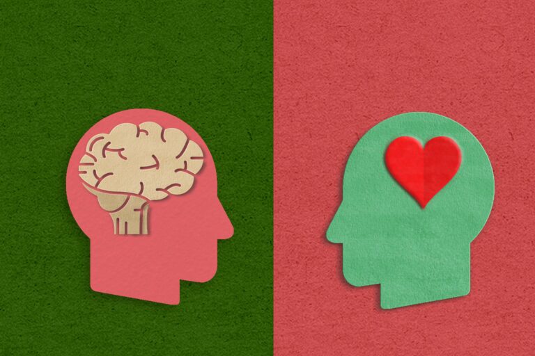 Zwei gegenüber gestellte Köpfe, einer mit einem Gehirn, der andere mit einem Herz; als Symbol für Hard Skills und Soft Skills.
