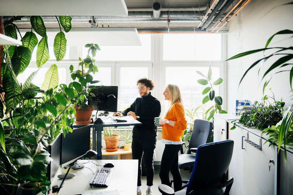 2 Mitarbeitende arbeiten in einem Büro mit moderner Ausstattung und grünen Pflanzen.