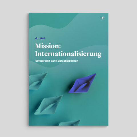 ebook: Mission Internationalisierung